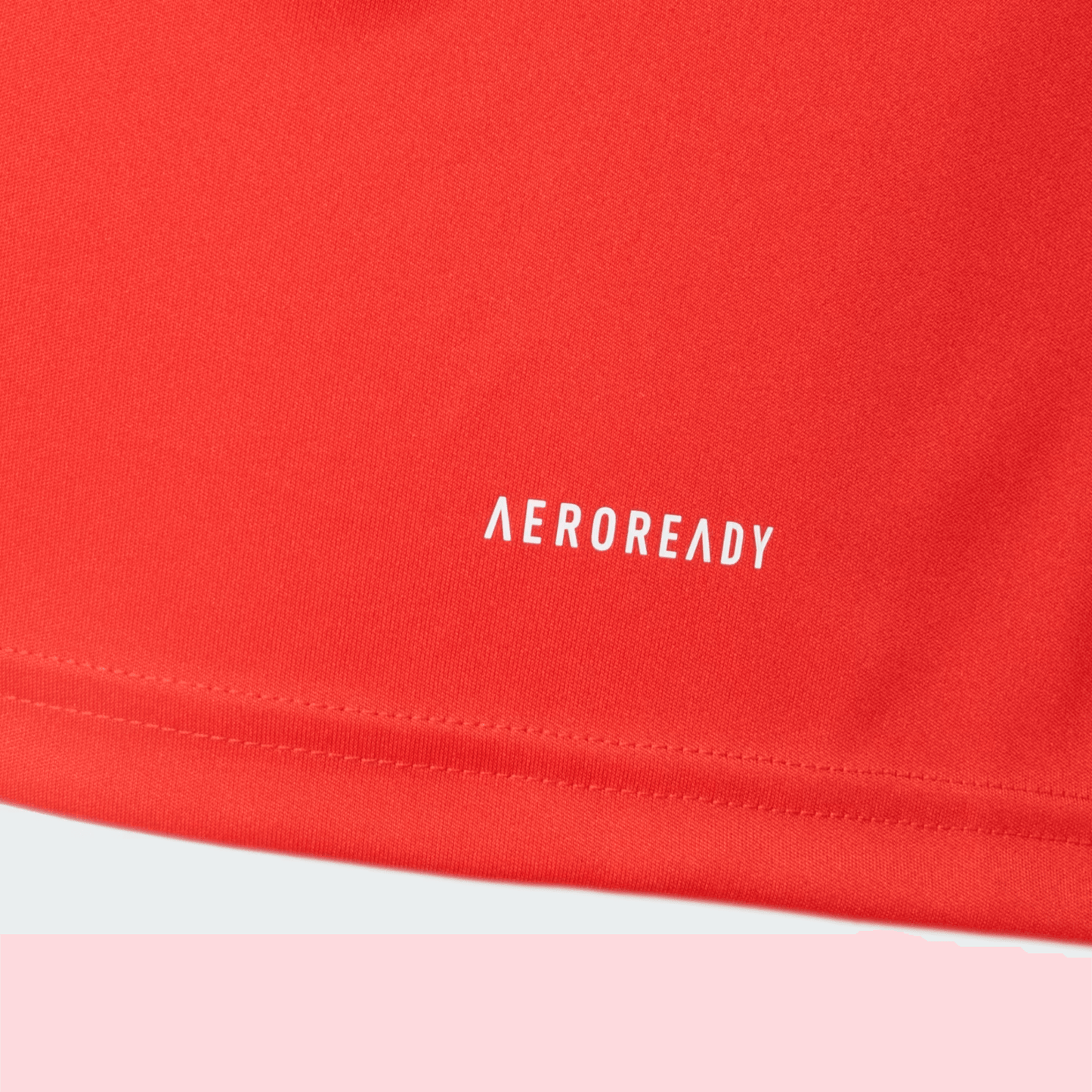 Camisa Masculina Treino Atleta Internacional 2024/25