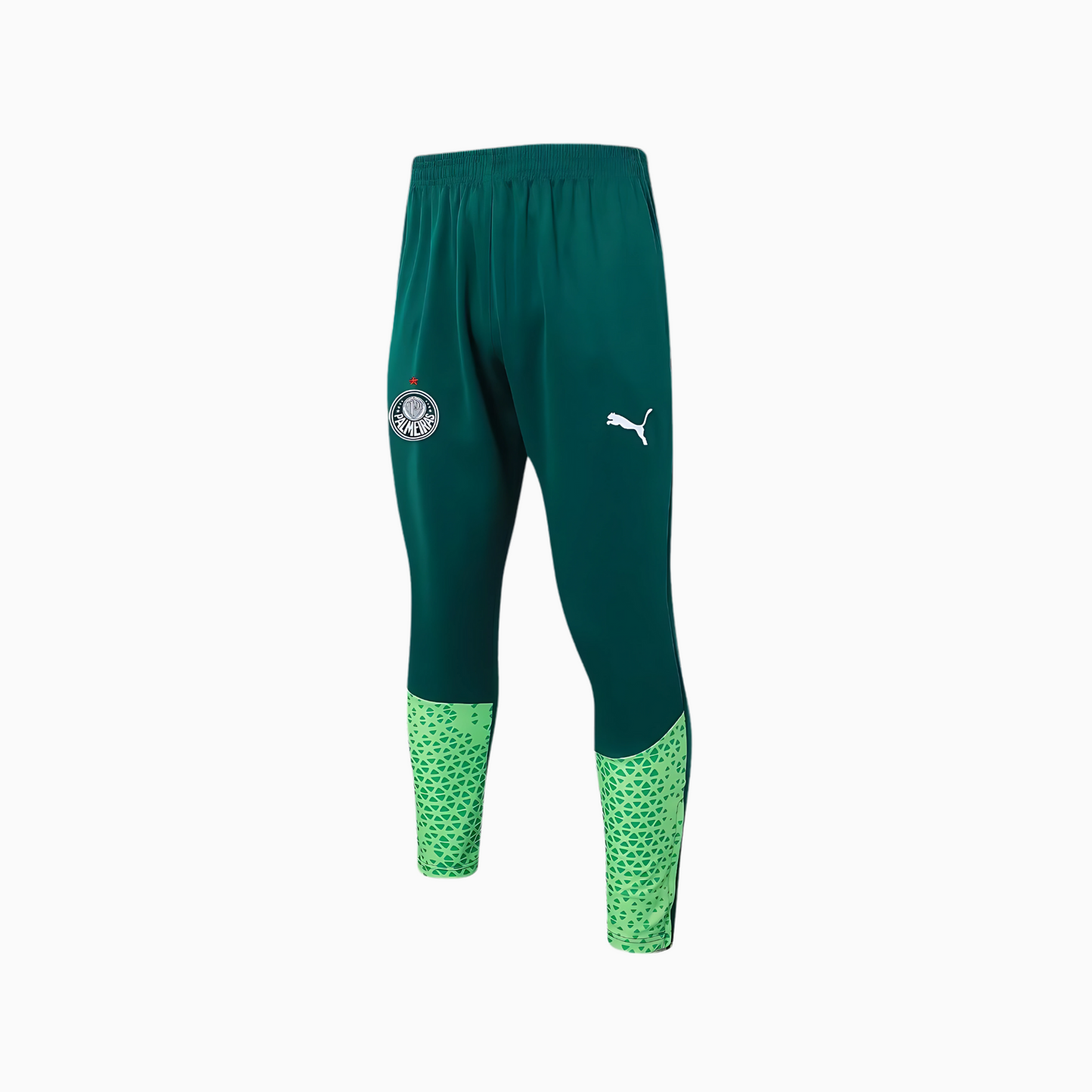 Conjunto de Treino Palmeiras 2024/25 II Masculino