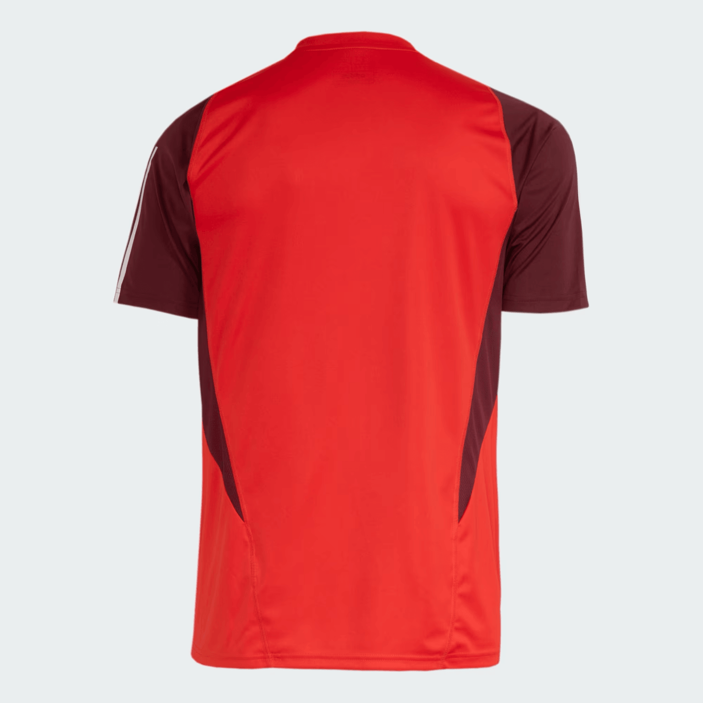 Camisa Masculina Treino Atleta Internacional 2024/25